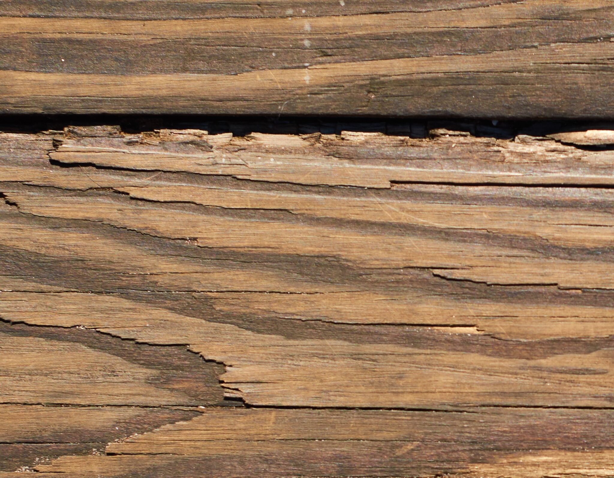 The Water Damaged Laminate Floor Repair Guide Service Restoration