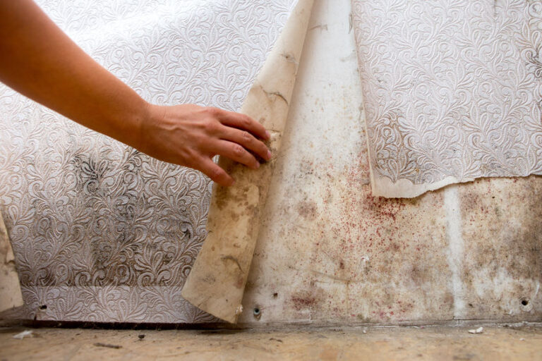 How to Repair Stains and Water Damage on Drywall