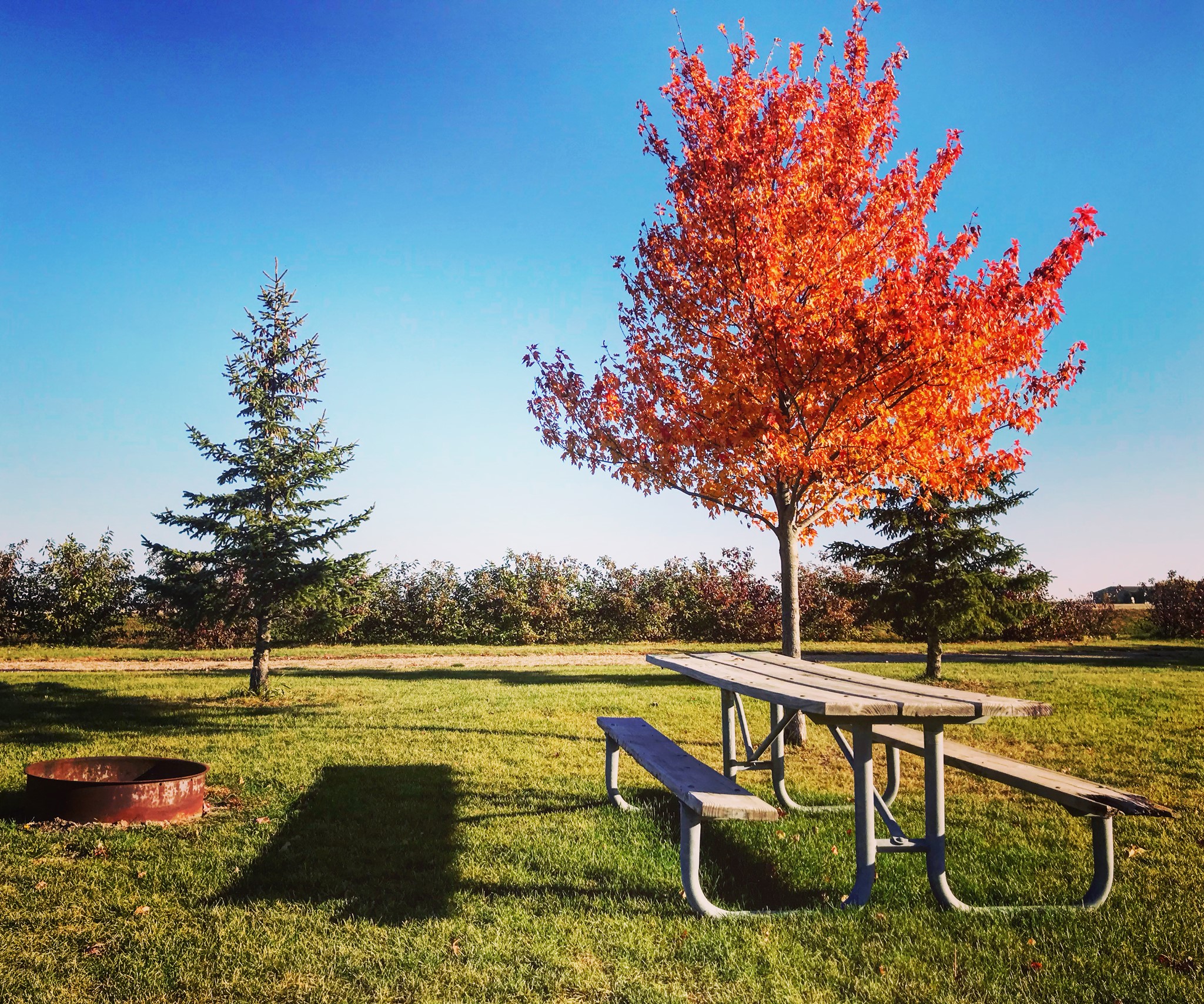 Kasota, MN Is a Nature Lovers City Service Restoration