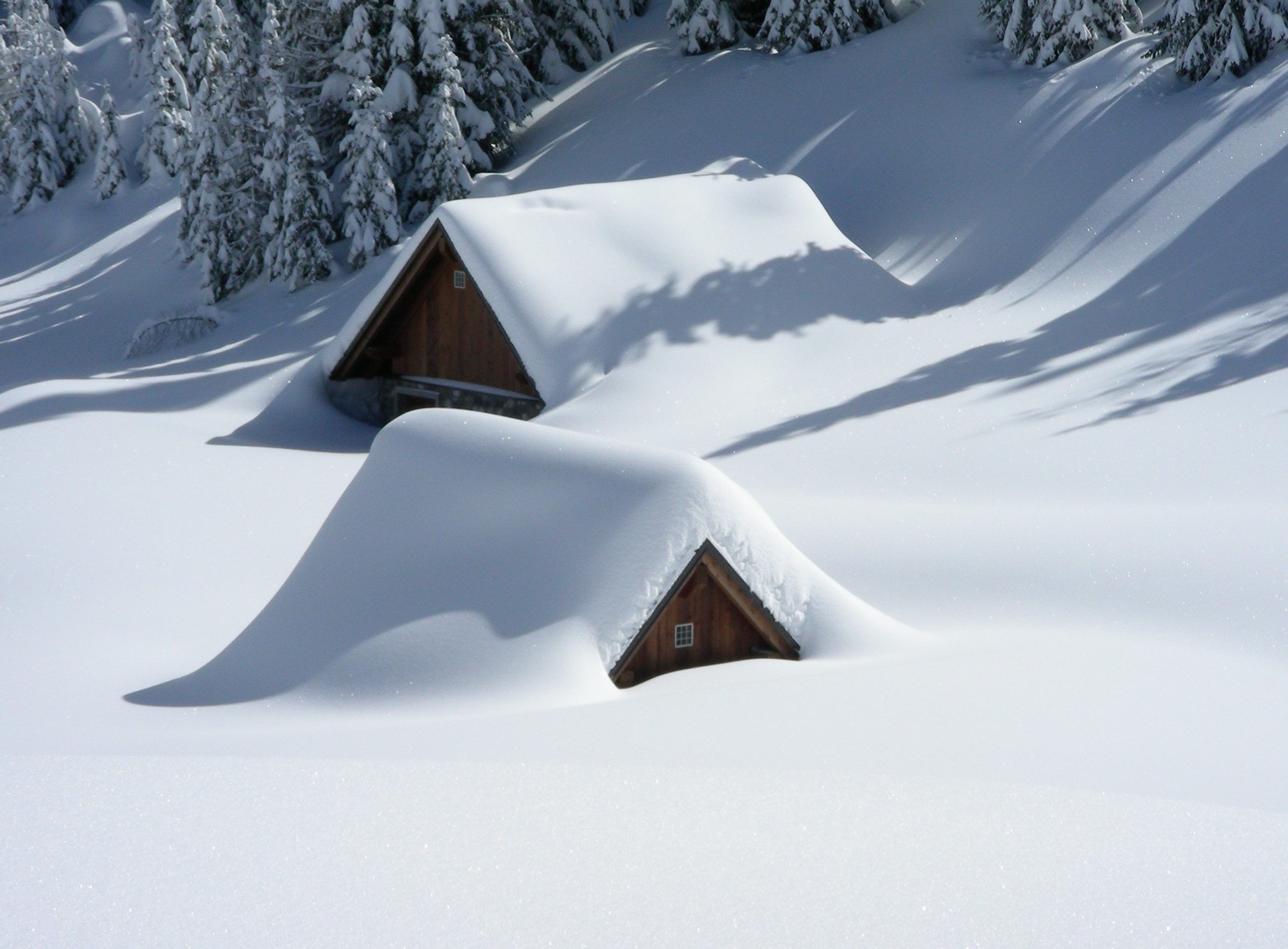 Minnesota Snow Storm - How to Prepare