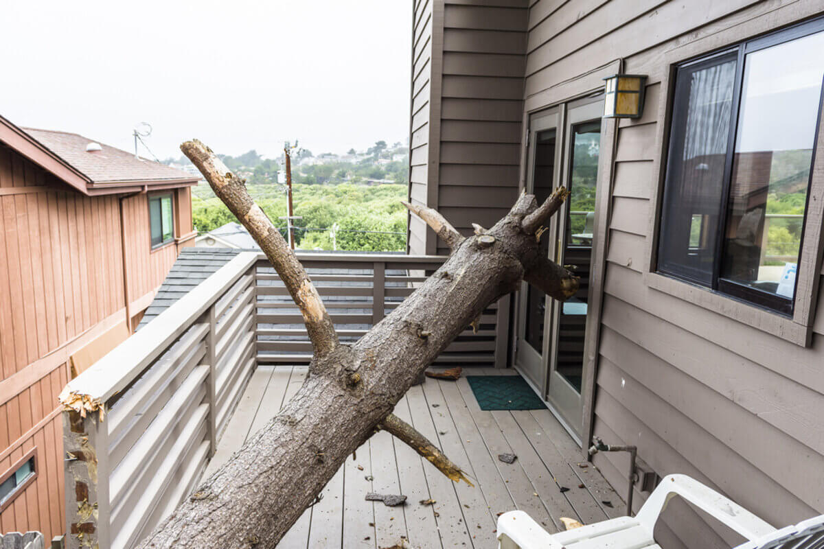 storm damage restoration take