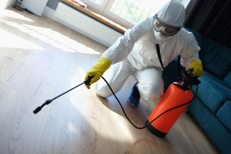 Restoration Services | Service Restoration