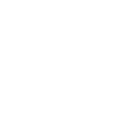 icon truck