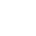 icon insurance checklist