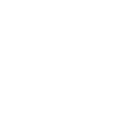 icon rapid response
