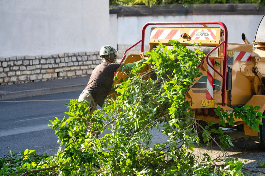 service restoration debris removal