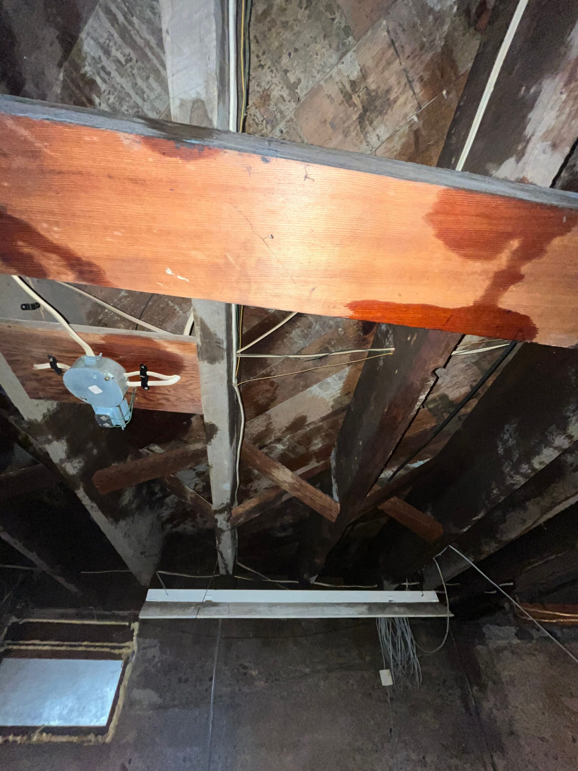 Water Damage Restoration - Moose Lake