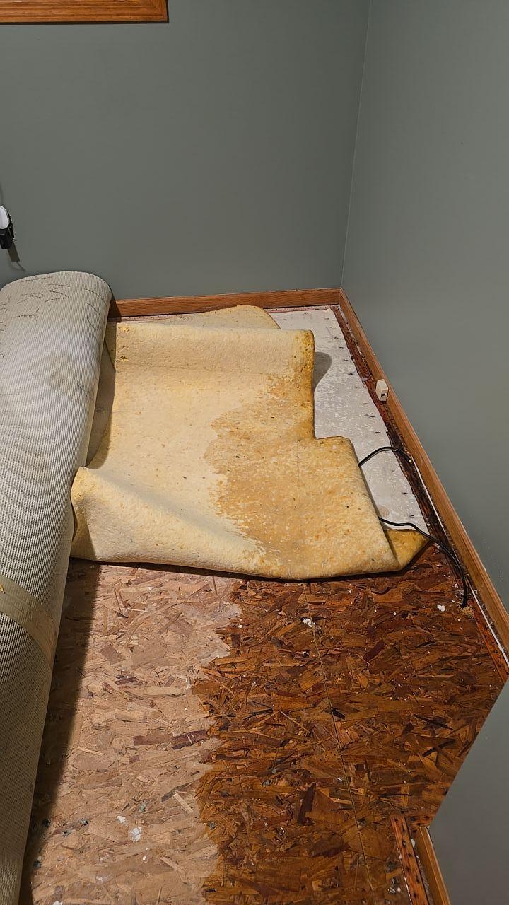 Water Damage Restoration - Chisago City