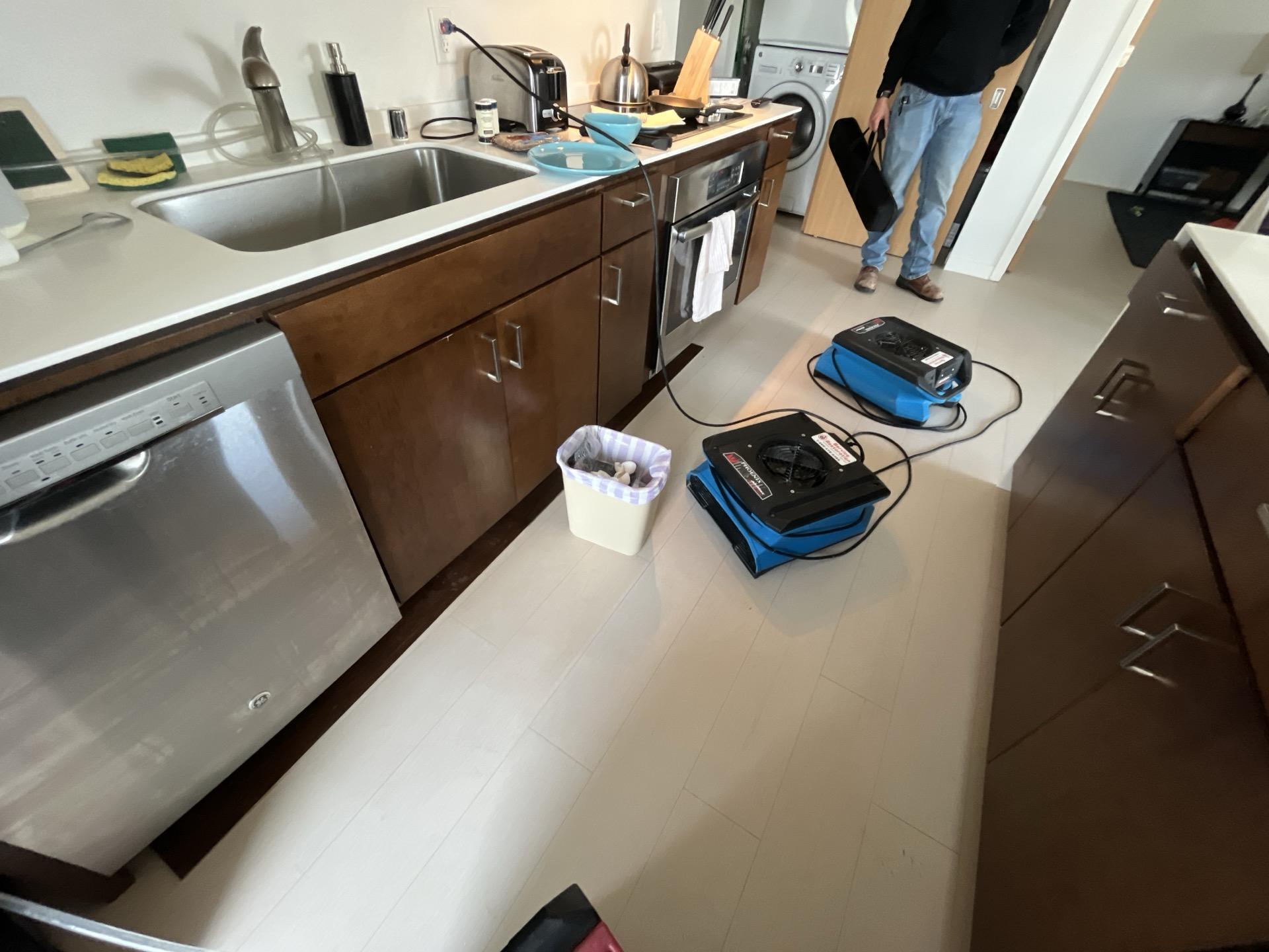 Water Damage Restoration - Rochester