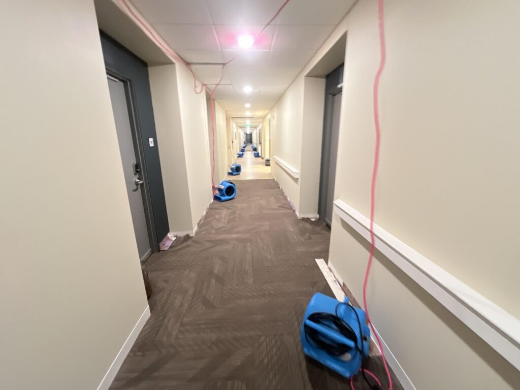 Apartment Hallway Edina Water Damage