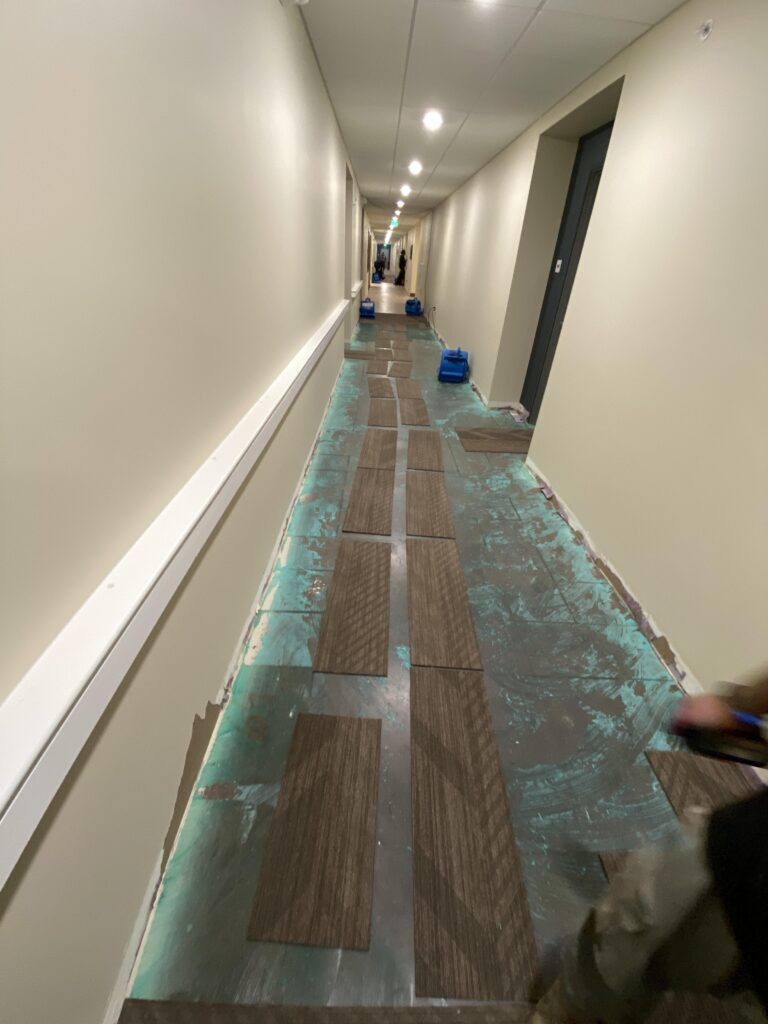 Flooring Removal after damage occured