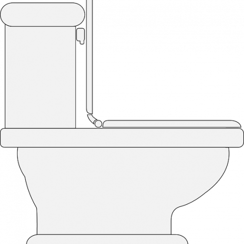 Remove the Tank Lid and Look inside Toilet