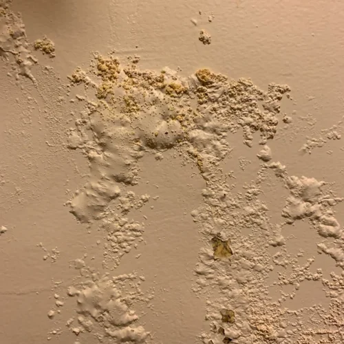 bubblingpaint bubblingpaint